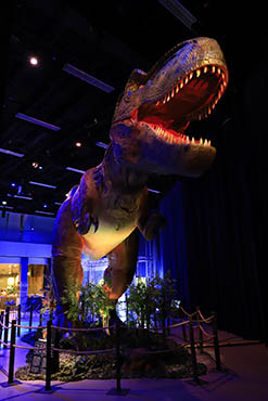 Dinosaur Invasion Tampere-talossa, kuva: Pasi Järvelä