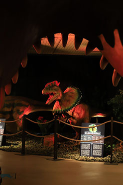 Dinosaur Invasion Tampere-talossa, kuva: Pasi Järvelä