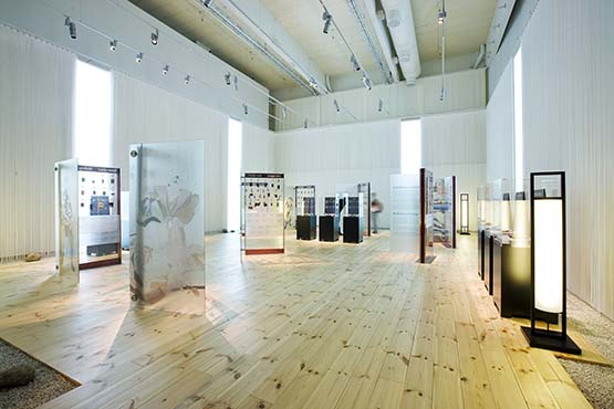 INRO-näyttely, Vapriikki 2010 (Kuva: Vapriikki)